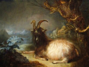 Landscape with a goat